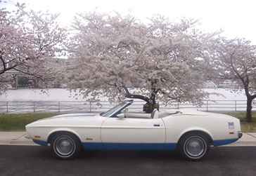 1972 Mustang at the Cherry Blossom Festival