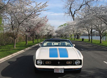 1972 Mustang at the Cherry Blossom Festival