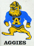 N.C. A&T State Univ. Alumni plate logo detail