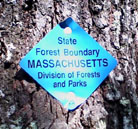 A marker nailed to a tree along the Conn.-Mass. state line trail north of the Tri-State Marker.